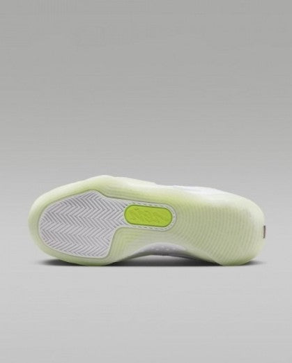 # NikE Air Jordan Zion 3 "No Guts"
